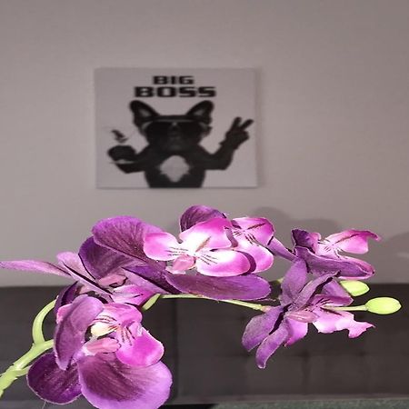 Apartment Am Ring Bochum Dış mekan fotoğraf